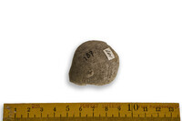 F 00187
<br/>
<br/>
<em></em>